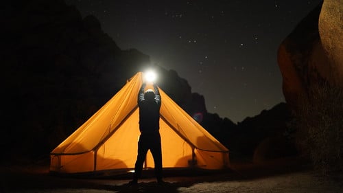 Picture for: Ultimate Survival