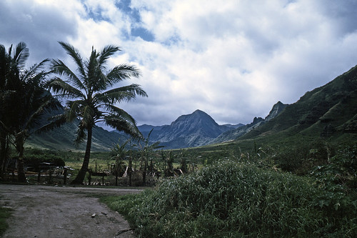 Picture for: NEW! “The Call of Paradise”- A Spiritual Journey to Hawai’i Online Via Zoom