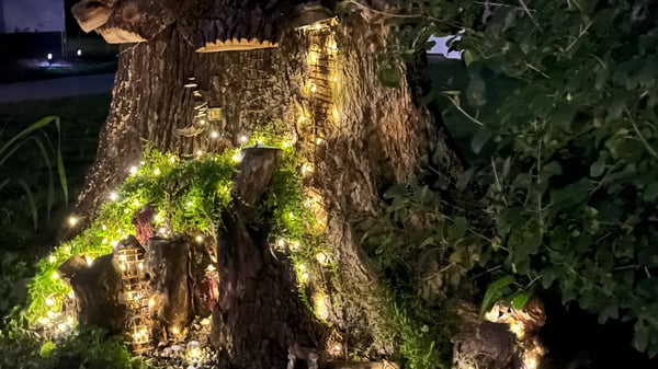 Picture for: Enchanted Fairy Garden