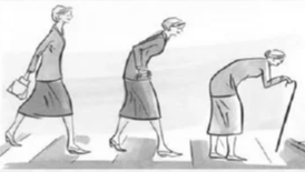 Picture for: Posture & Osteoporosis: Building Better Bones