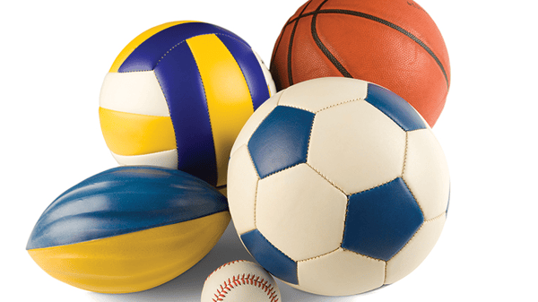 Image for Sports Sampler