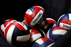 Picture for Volleyball
