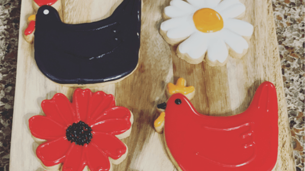 Picture for: Fall in the Hen House