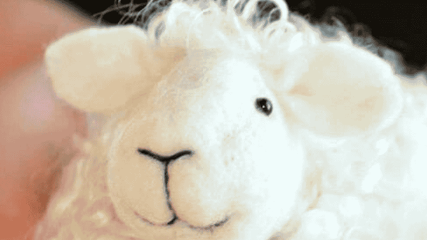 Picture for: Felting Fundamentals