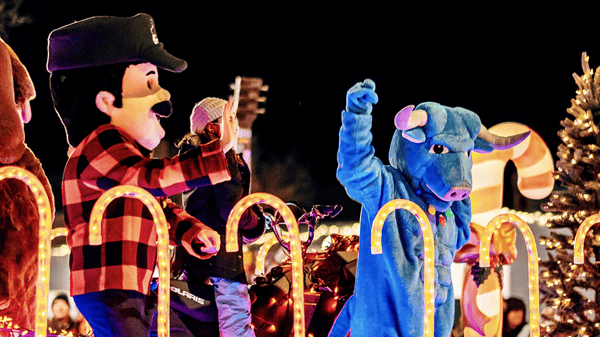 Image for History & Holiday Lights Tour – Family Edition