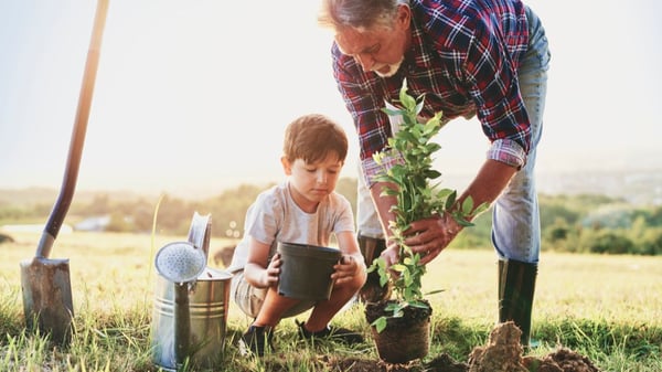Image for Rebuilding Our Woodlands: Planting for Resilience After the Storm