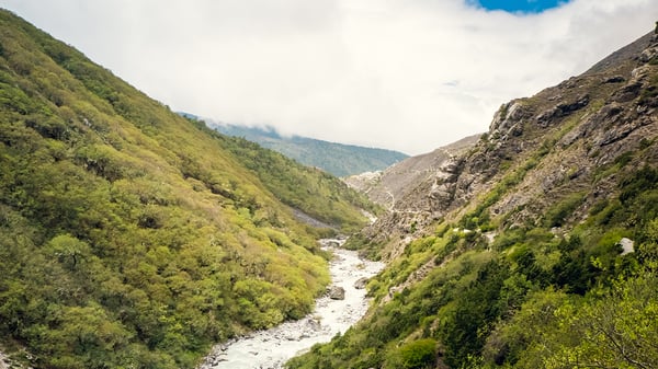 Picture for: We Walked Through the Valley