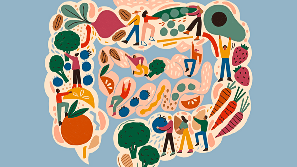 Picture for: The Gut Health Reset: A 4-Week Plan for Families