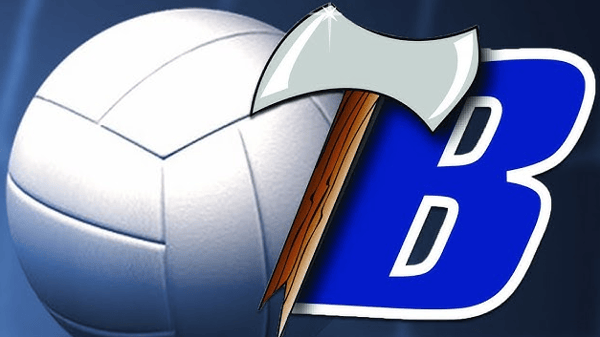 Image for Boys Volleyball Clinic