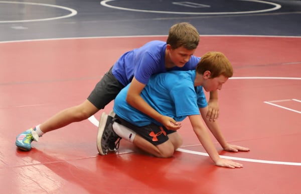 Picture for Wrestling