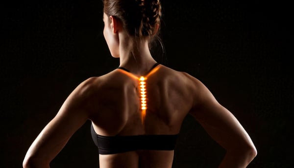 Picture for: Posture Osteoporosis Workshop: Building Better Bones