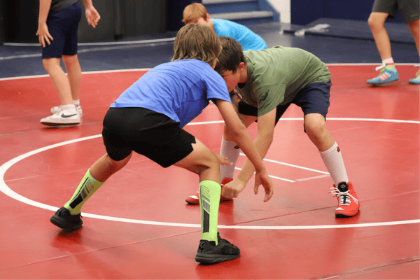 Image for Wrestling: Charging Dragon
