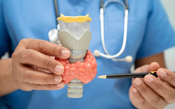 Picture for: Thyroid Things You Need To Know