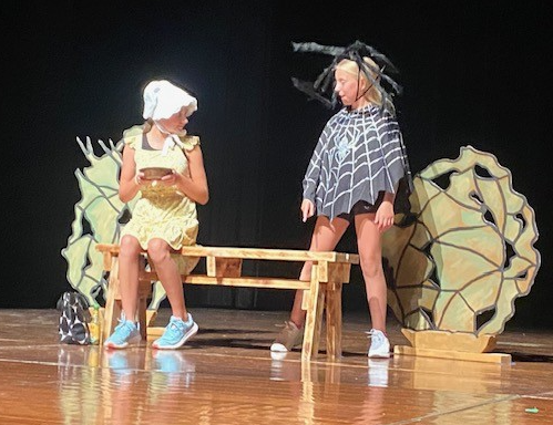 Course Youth Theatre Camp (YTC) image 1