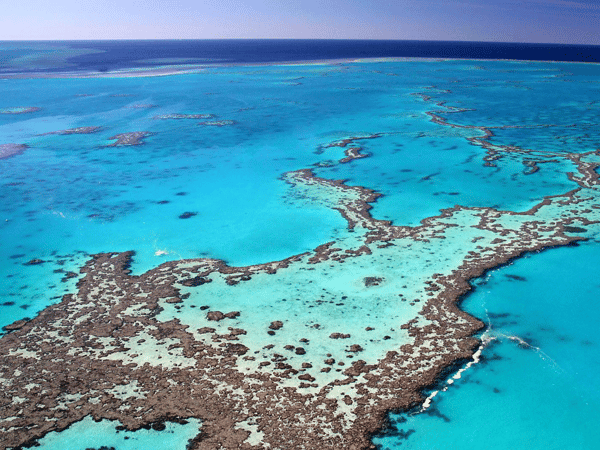 Image for Travel to New Zealand & Australia with us!