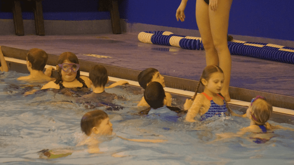 Picture for: Aquatics: Level 3 Stroke Development
