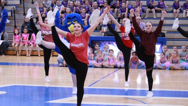 Course Falconettes Intermediate-Advanced Dance Training Camp, Gr 7-12 image 1