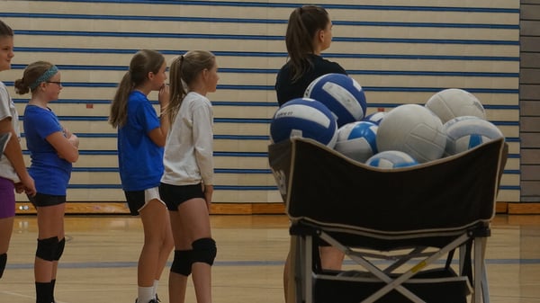 Picture for: Tiny Falcon Volleyball, Gr K-2