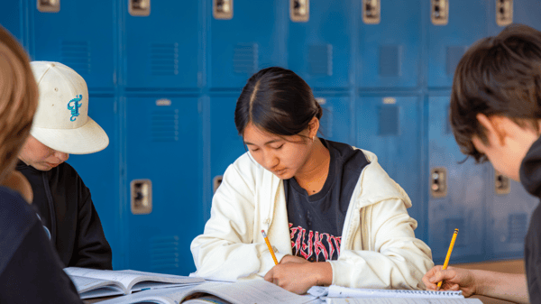 Picture for: Essay Writing (Grades 6–8)
