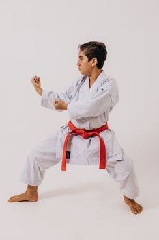 Picture for: Martial Arts: Karate Kids (Grades 1–4)