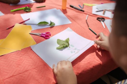 Picture for: Art Skills (K–Grade 1)