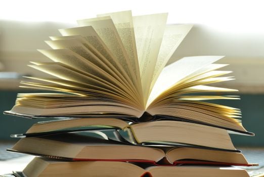 Picture for: Advanced Literature Study (Grades 7–8)