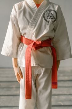 Picture for: Martial Arts: Cool Cats (Kindergarten)