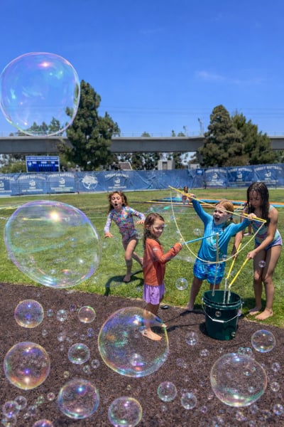 Picture for: Summer 2026