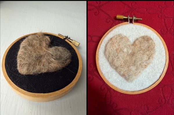 Picture for: Cozy Keepsakes: Pet Day Needle Felting Workshop