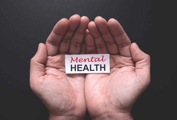 Course Mental Health First Aid Certiifcation image 1