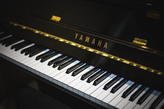 Picture for: Instant Piano for Hopelessly Busy People