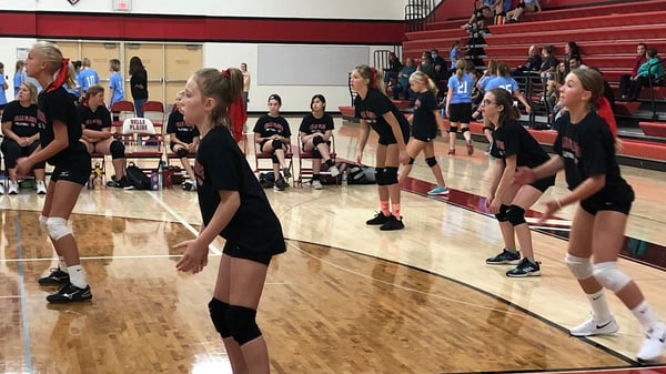 Picture for: TIGER CUBS VOLLEYBALL CAMP