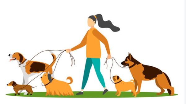 Picture for: TEEN: LAUNCH YOUR PET-SITTING/DOG-WALKING BIZ