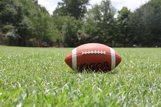 Picture for: FLAG FOOTBALL GRADES 3 - 4