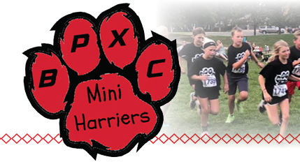 Picture for: MINI MIGHTY HARRIERS