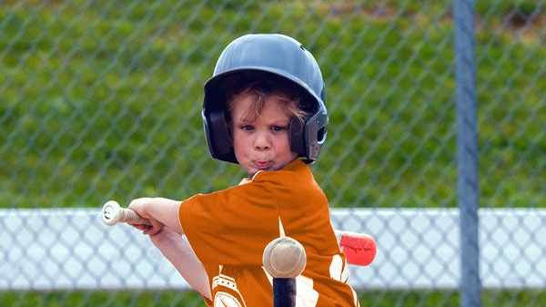 Course Youth Baseball League image 1