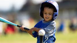 Picture for: Franklin Rec Summer Youth Baseball League (Winter/Spring)
