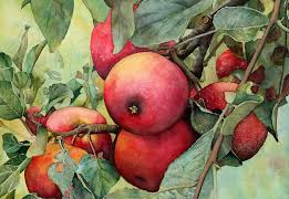 Picture for: Adult Watercolor Painting (Winter/Spring)