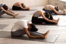 Picture for: Sweet Surrender: Friday Morning Yin Yoga (Summer 26)