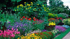 Picture for Gardening (Summer 2026)