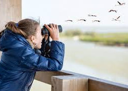 Picture for: World Migratory Bird Day Celebration (Winter/Spring)