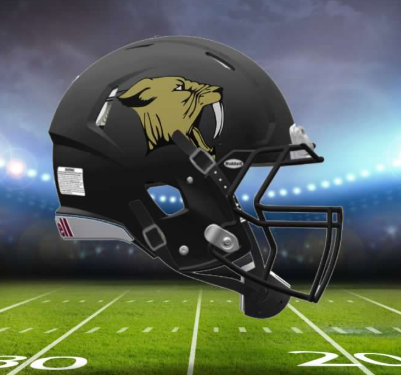 Picture for: FHS Summer Football Camps