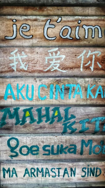 Picture for Language Studies