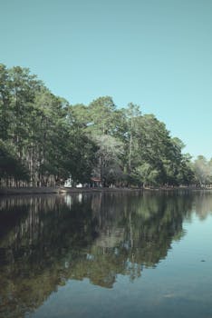 Picture for: Nature Quest