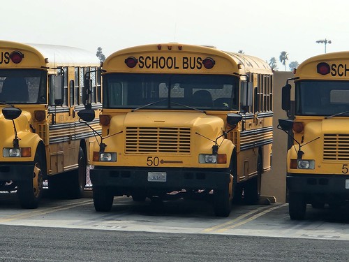 Picture for Summer Field Trips