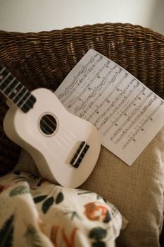 Picture for: Instant Ukulele for Hopelessly Busy People