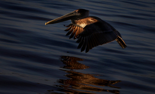 Picture for: Mad Science: Ready, STEM, Go!