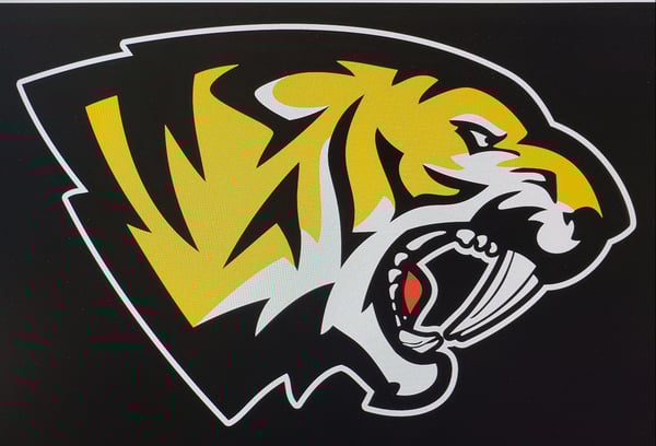 Picture for Saguaro Athletic Camps