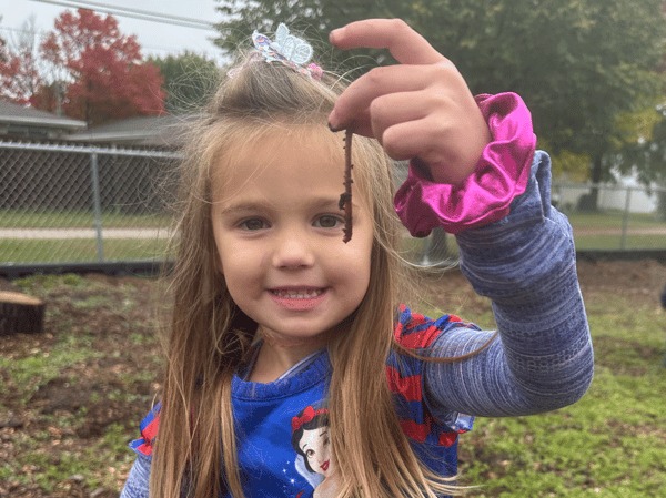 Picture for: Early Explorers-Quarter 4