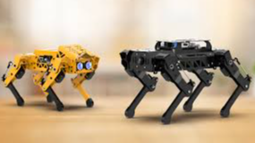 Picture for: Bricktopia Master Builders Camp